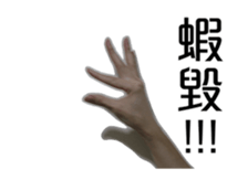 15943112