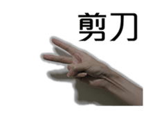 15943114