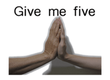 15943120