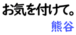 159479631