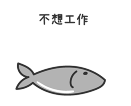 15950243