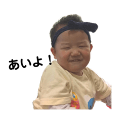 159536386