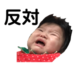 159536402