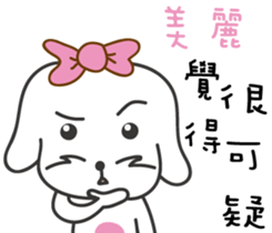 159555024