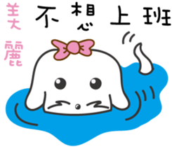 159555048