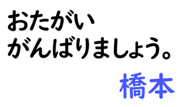 159591416