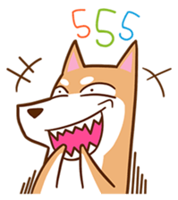 159591964