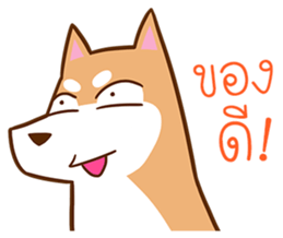 159591987