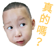 159639553