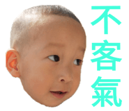 159639556