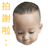 159639560
