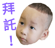 159639562