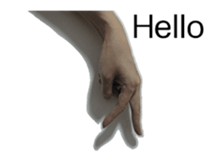 15985548