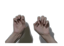 15985555
