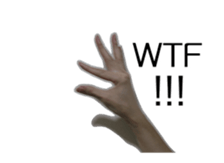 15985560
