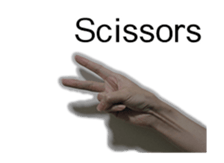 15985562