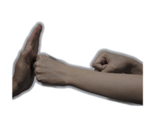 15985567