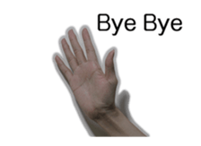 15985569