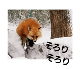 159864409