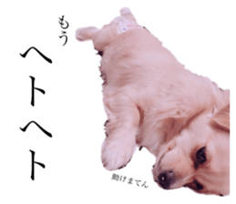 159866320
