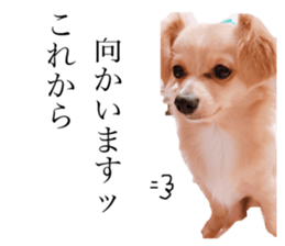 159866325