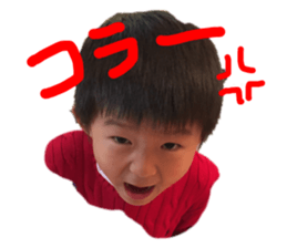 159880690