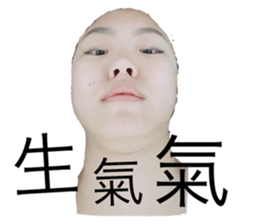 159881103
