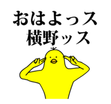 159882544