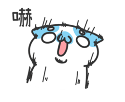 15992596