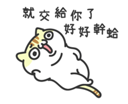 15992598