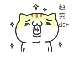 15992605