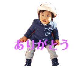 159931556