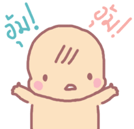 16005234