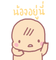 16005245