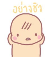 16005248