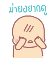 16005253