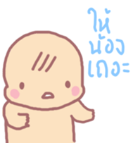 16005254