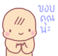 16005271