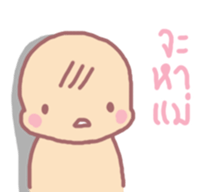 16005273