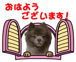 160125658
