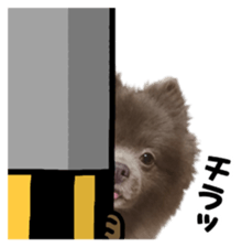 160125660