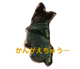 160243860