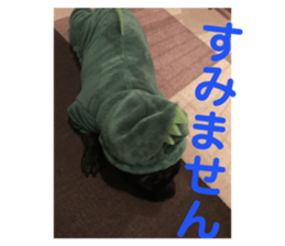 160243868
