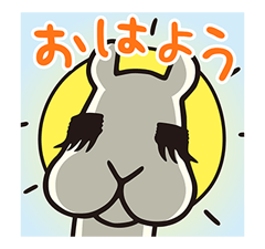 16028334