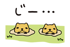 16028353