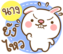 160313998
