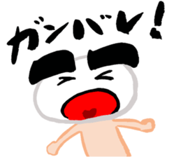 16038058