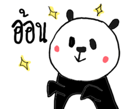 16040276