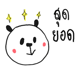 16040282