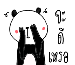 16040294
